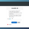 Verify Mobile Through OTP